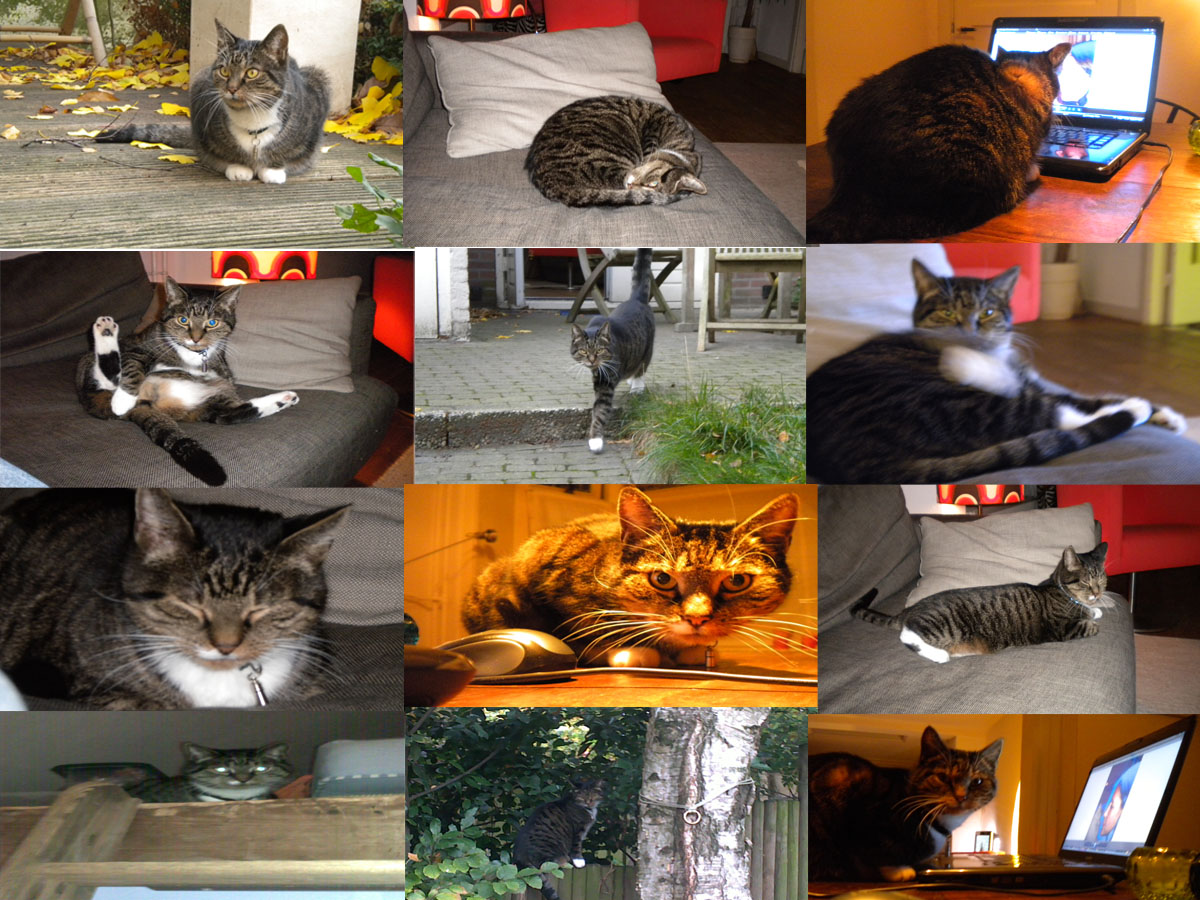 Luca's best moments bij Roger